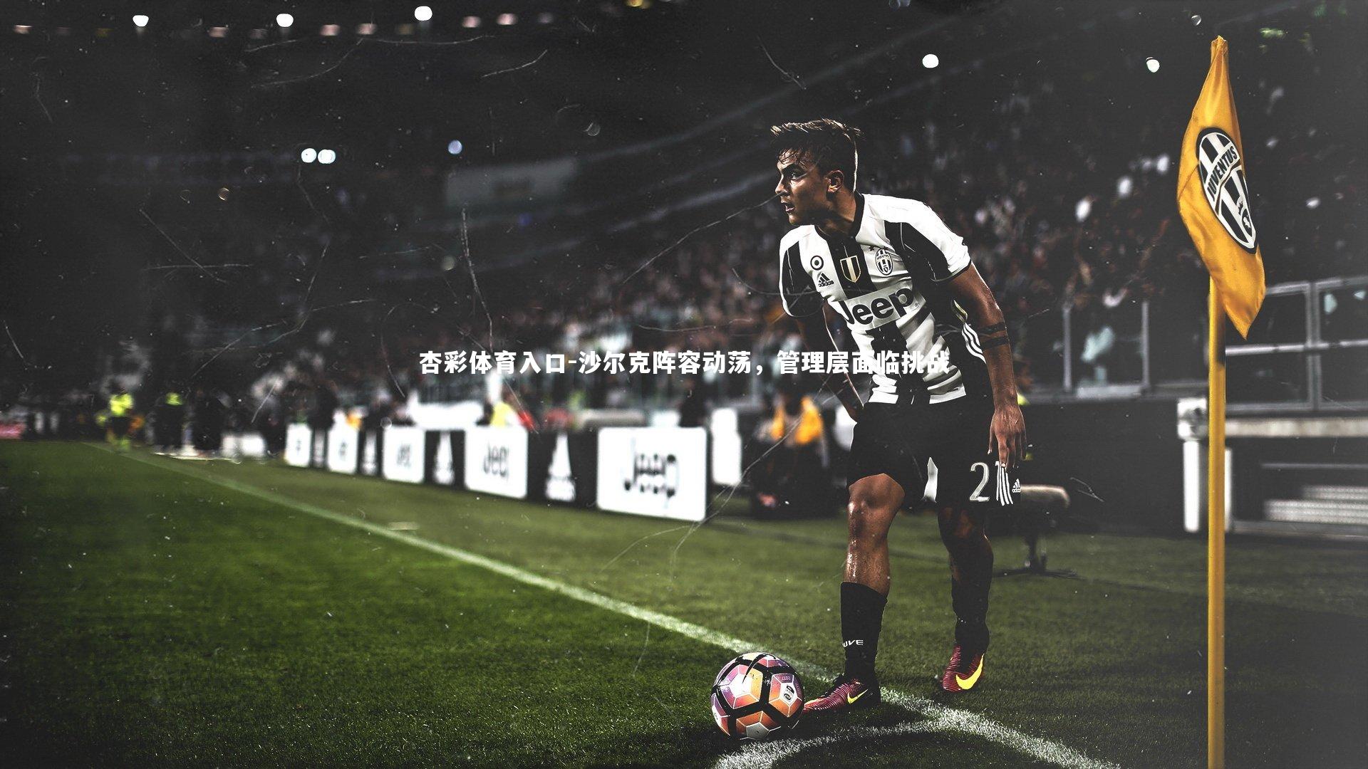 沙尔克阵容动荡，管理层面临挑战