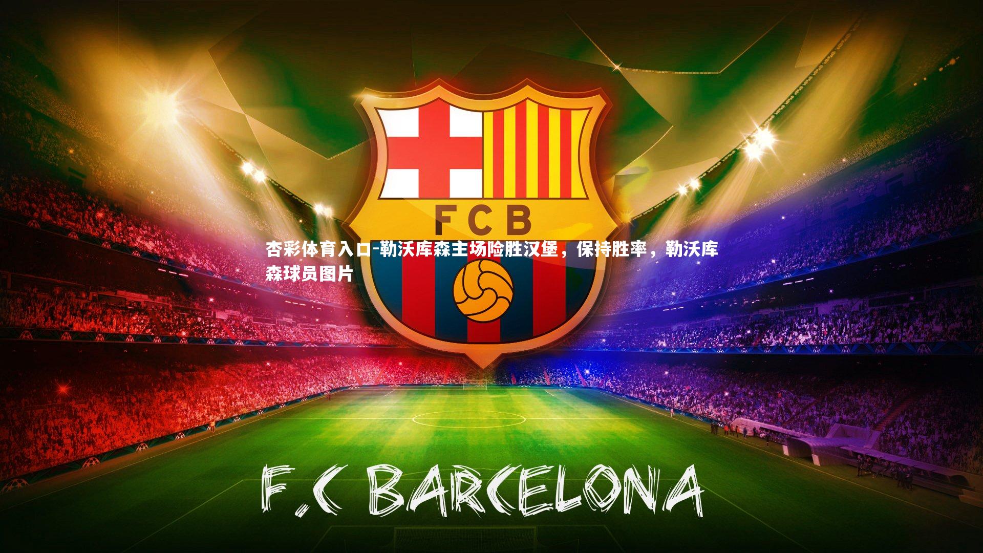 勒沃库森主场险胜汉堡，保持胜率，勒沃库森球员图片